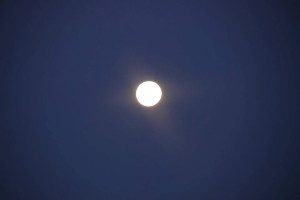 luna roma