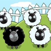 disuguaglianza e diversità